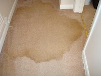 Elliots Carpet Cleaning 353010 Image 2